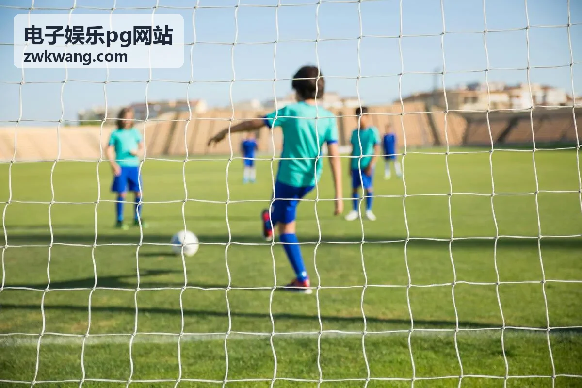 电子娱乐pg网站平台能力说明